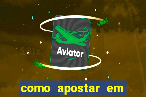 como apostar em corrida de galgos